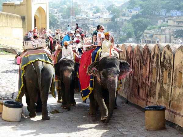 Jaipur Tour