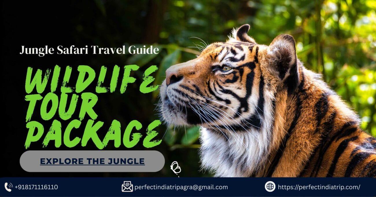 Best Wildlife Tour Package India | National Park Safari Tours