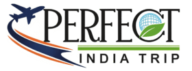 Perfect India Trip
